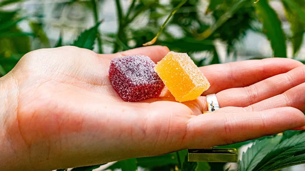 Buy effective CBD gummies from reputable companies