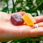 Buy effective CBD gummies from reputable companies